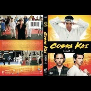 Cobra Kai complete series brand new sealed dvd